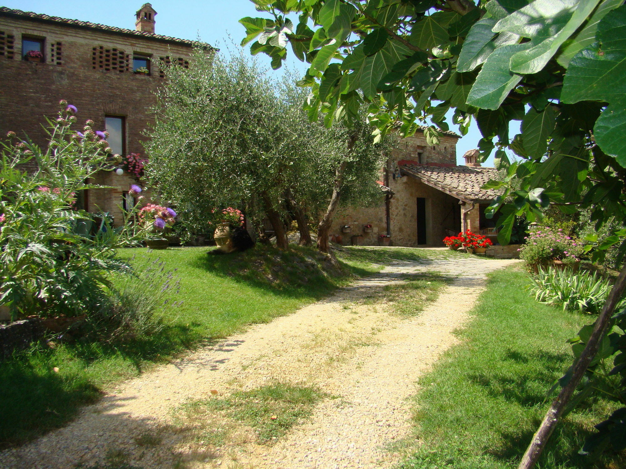 Frances' Lodge Relais Siena Exterior photo